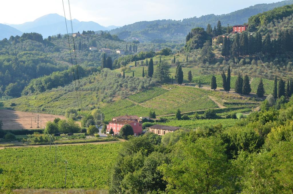 Agriturismo Le Murelle Лука Екстериор снимка