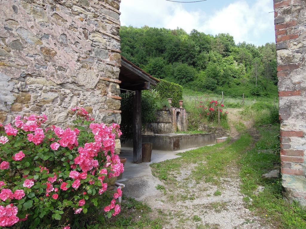 Agriturismo Le Murelle Лука Екстериор снимка