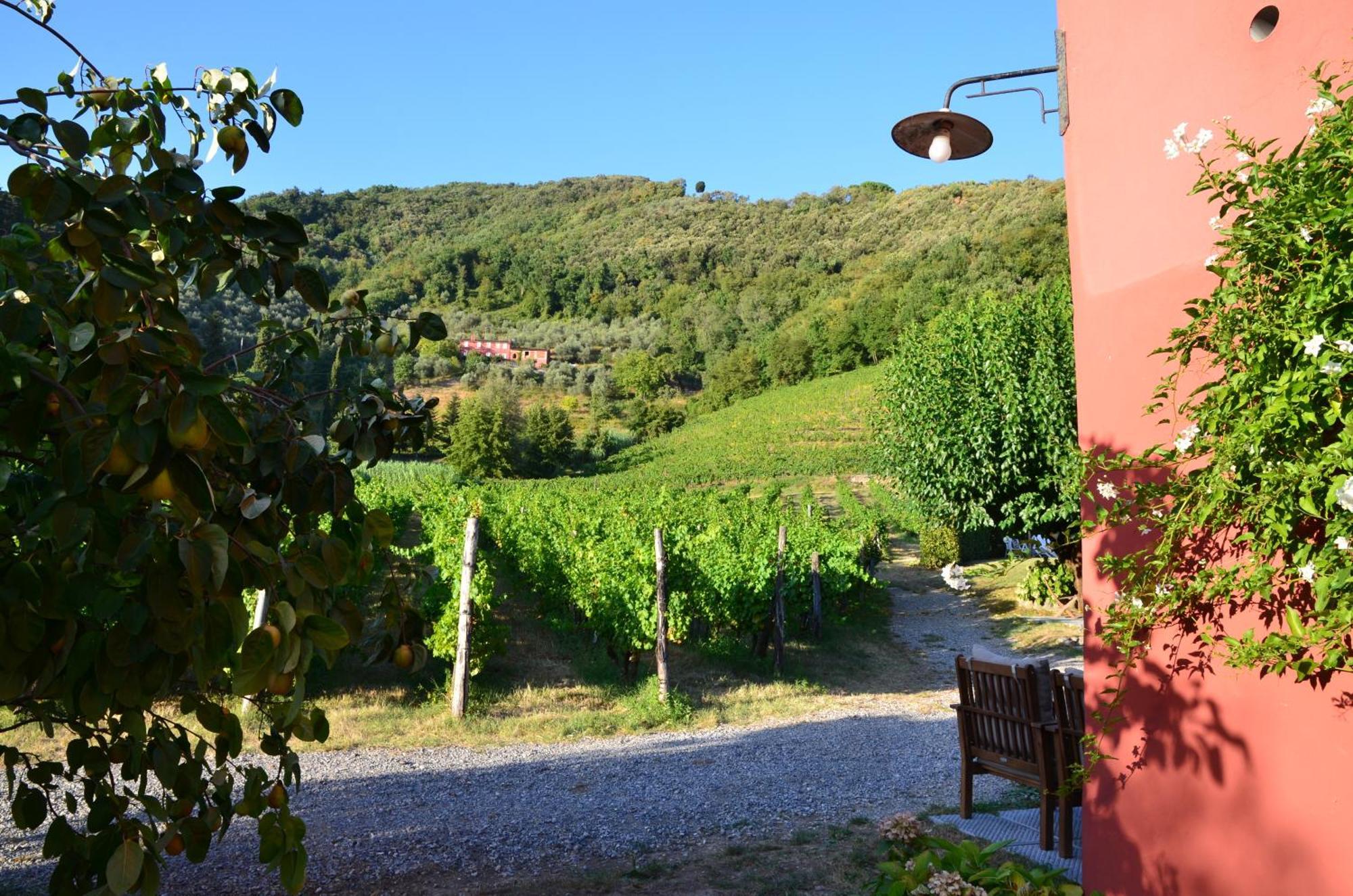 Agriturismo Le Murelle Лука Екстериор снимка