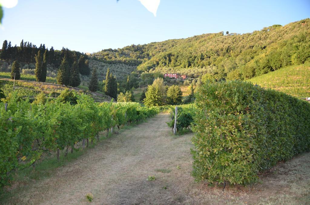 Agriturismo Le Murelle Лука Екстериор снимка